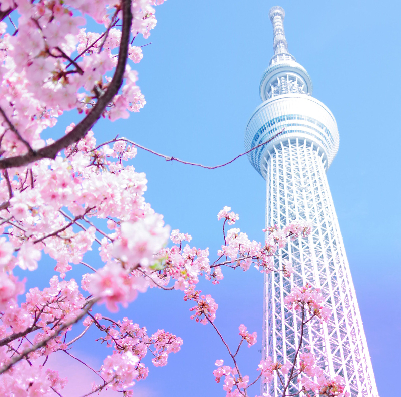 2026旅遊靈感清單：走一趟喚醒靈魂的旅程